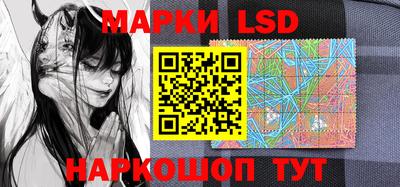 дмт Новозыбков