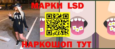 альфа пвп Новодвинск