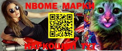 альфа пвп Новодвинск