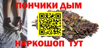 альфа пвп Новодвинск