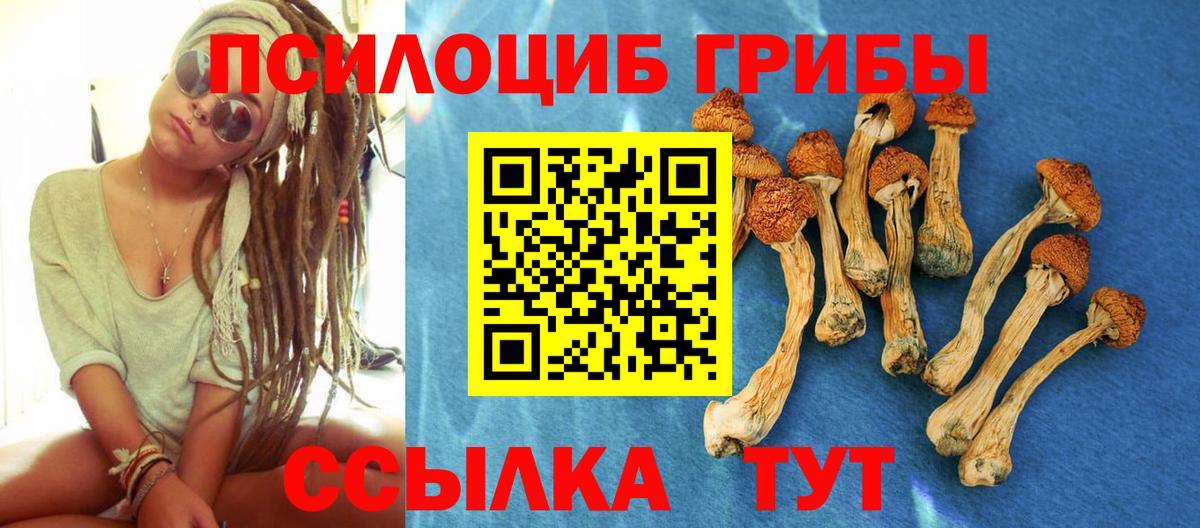 Псилоцибиновые грибы Magic Shrooms Строитель